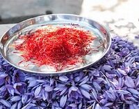 الزعفران