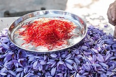 الزعفران